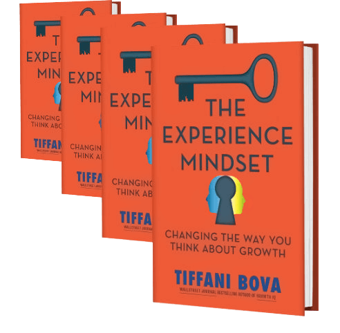 The-Experience-Mindset